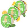 Lemon Cactus Energy Pouches (3 Pack / 60 Pouches)